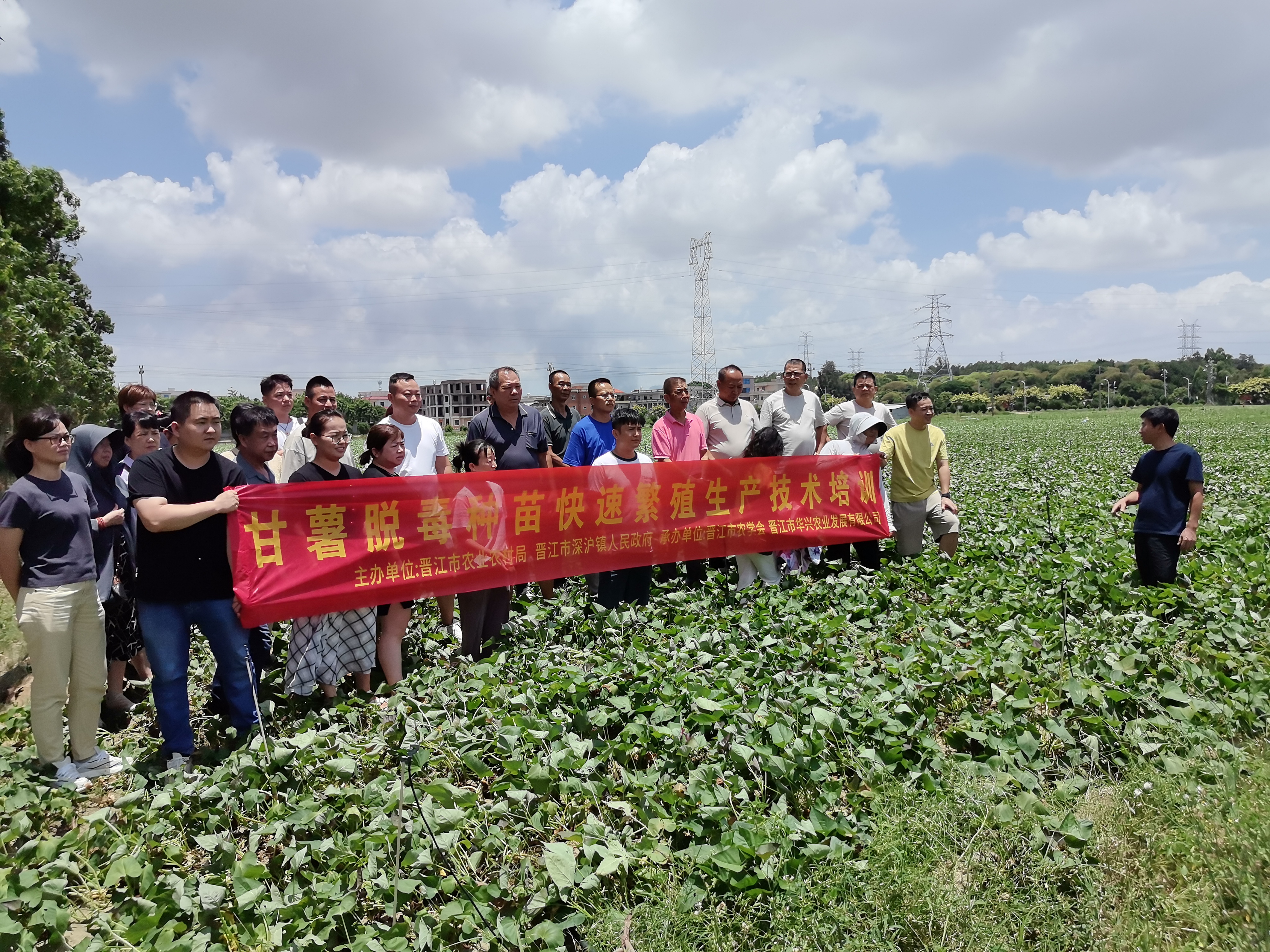 晋江市成功举办农业科技示范基地观摩培训会 为现代农业发展注入